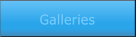 Galleries Galleries