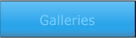Galleries Galleries