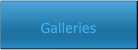 Galleries Galleries
