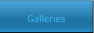 Galleries Galleries