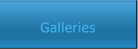 Galleries Galleries