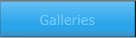 Galleries Galleries